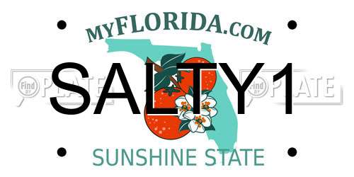 SALTY1 Florida License Plate