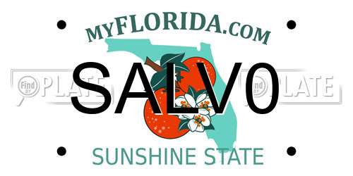 SALV0 Florida License Plate
