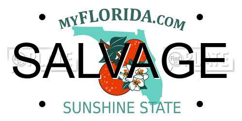 SALVAGE Florida License Plate