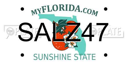 SALZ47 Florida License Plate