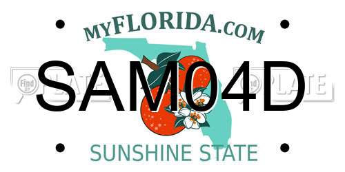 SAM04D Florida License Plate