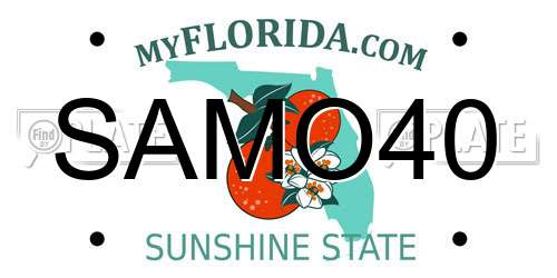 SAMO40 Florida License Plate