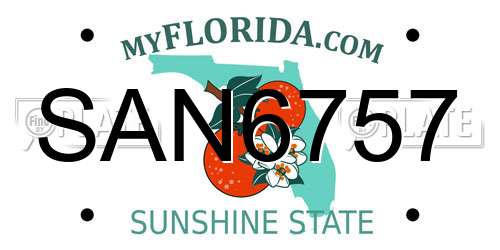 SAN6757 Florida License Plate