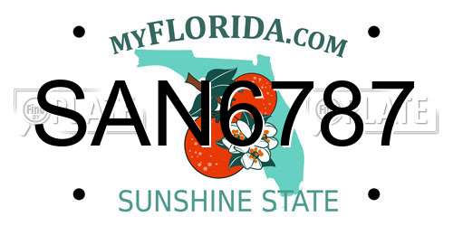 SAN6787 Florida License Plate
