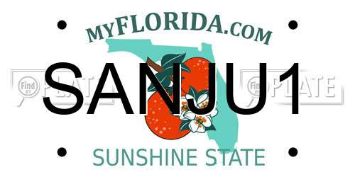 SANJU1 Florida License Plate