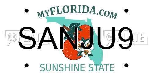 SANJU9 Florida License Plate