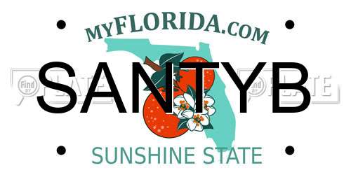 SANTYB Florida License Plate
