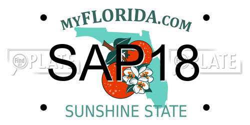 SAP18 Florida License Plate
