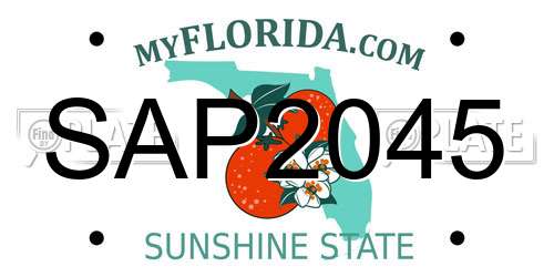 SAP2045 Florida License Plate