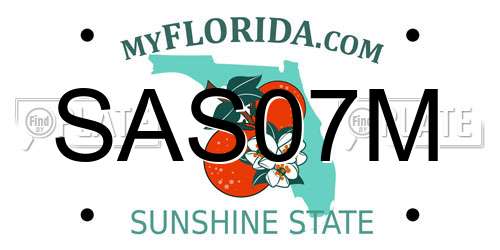 SAS07M Florida License Plate