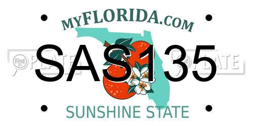 SAS135 Florida License Plate