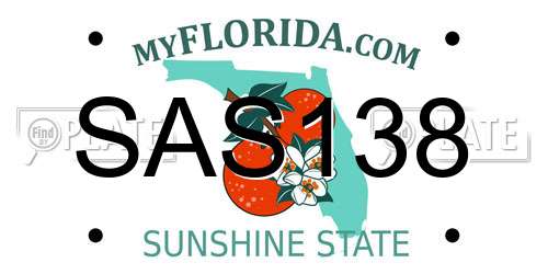 SAS138 Florida License Plate