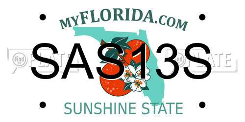 SAS13S Florida License Plate