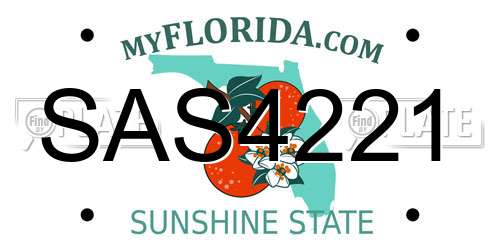 SAS4221 Florida License Plate