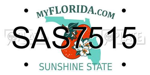 SAS7515 Florida License Plate