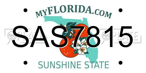 SAS7815 Florida License Plate