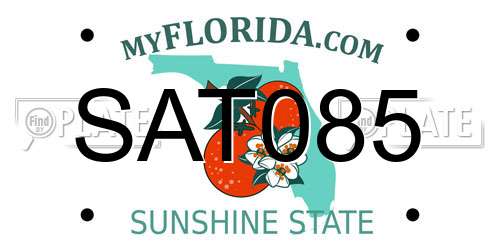 SAT085 Florida License Plate