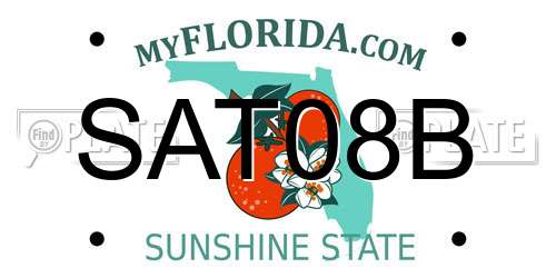 SAT08B Florida License Plate