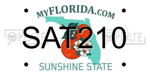 SAT210 Florida License Plate