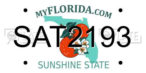 SAT2193 Florida License Plate