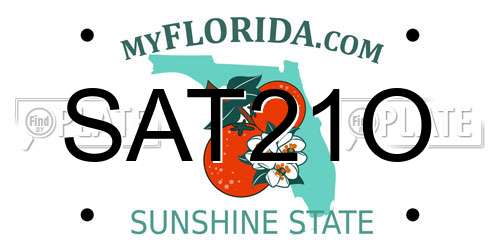 SAT21O Florida License Plate
