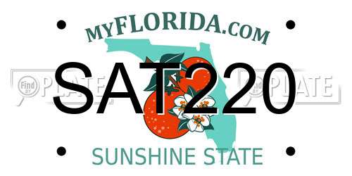 SAT220 Florida License Plate