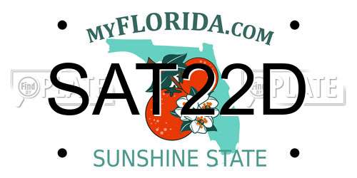 SAT22D Florida License Plate