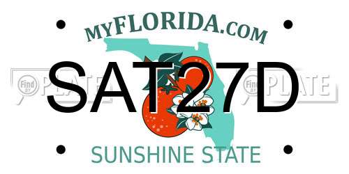 SAT27D Florida License Plate
