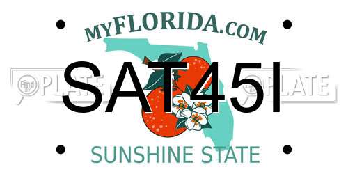 SAT45I Florida License Plate