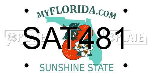 SAT481 Florida License Plate