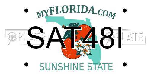 SAT48I Florida License Plate