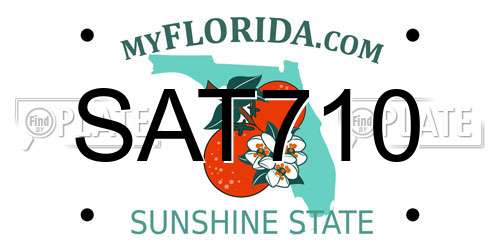 SAT710 Florida License Plate