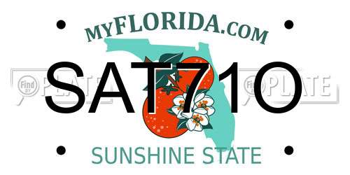 SAT71O Florida License Plate