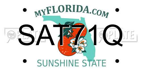SAT71Q Florida License Plate