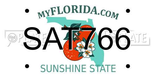 SAT766 Florida License Plate