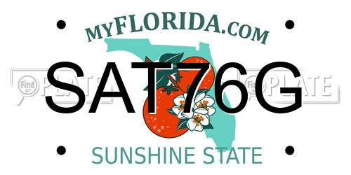 SAT76G Florida License Plate