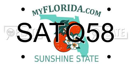 SATQ58 Florida License Plate
