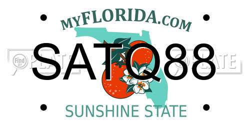 SATQ88 Florida License Plate