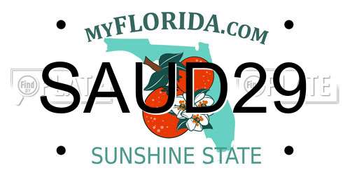 SAUD29 Florida License Plate
