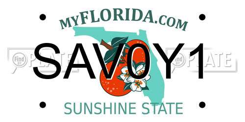 SAV0Y1 Florida License Plate