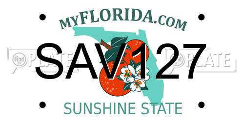 SAV127 Florida License Plate