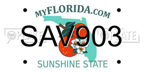 SAV903 Florida License Plate