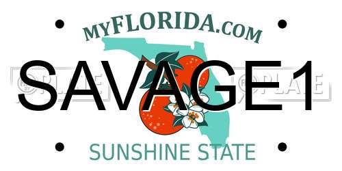 SAVAGE1 Florida License Plate