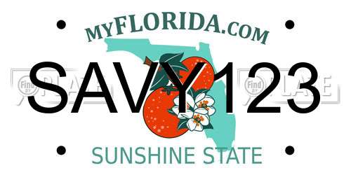 SAVY123 Florida License Plate