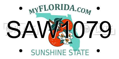 SAW1079 Florida License Plate
