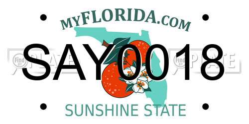 SAY0018 Florida License Plate