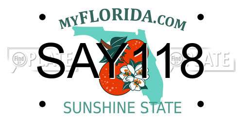 SAY118 Florida License Plate