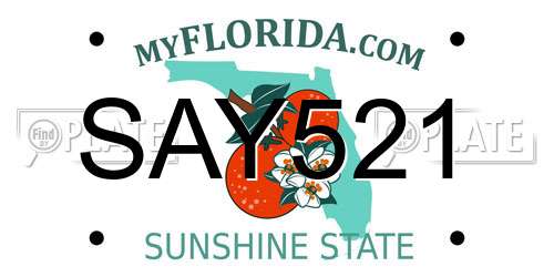 SAY521 Florida License Plate