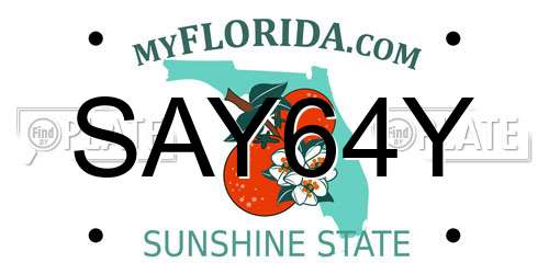 SAY64Y Florida License Plate