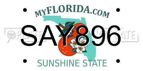 SAY896 Florida License Plate